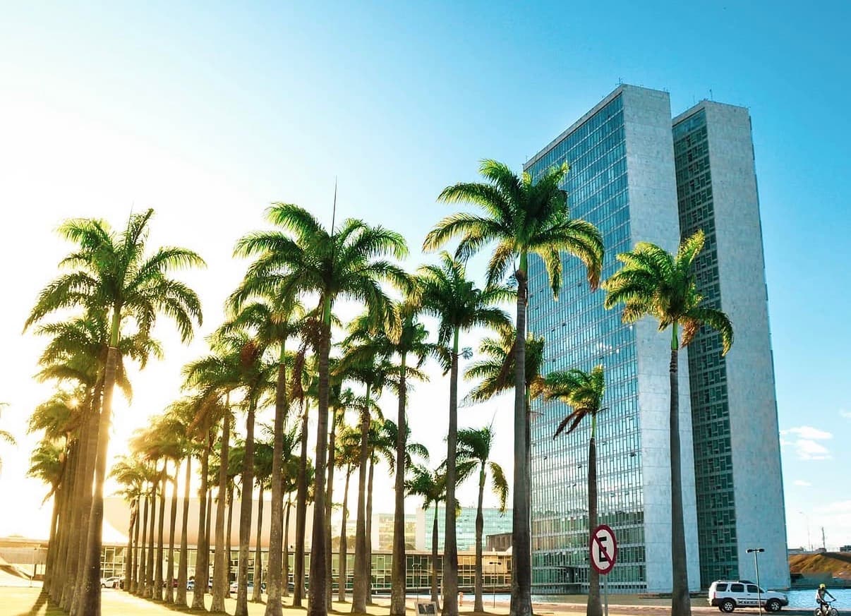 Congresso Nacional, Brasília, entre coqueiros ao entardecer